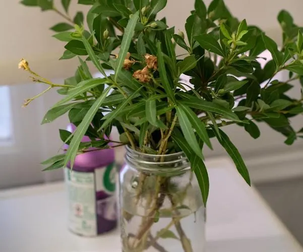 Breathtaking View U Fall In With