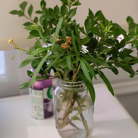 Breathtaking View U Fall In With